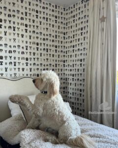 Galeria-6.jpg